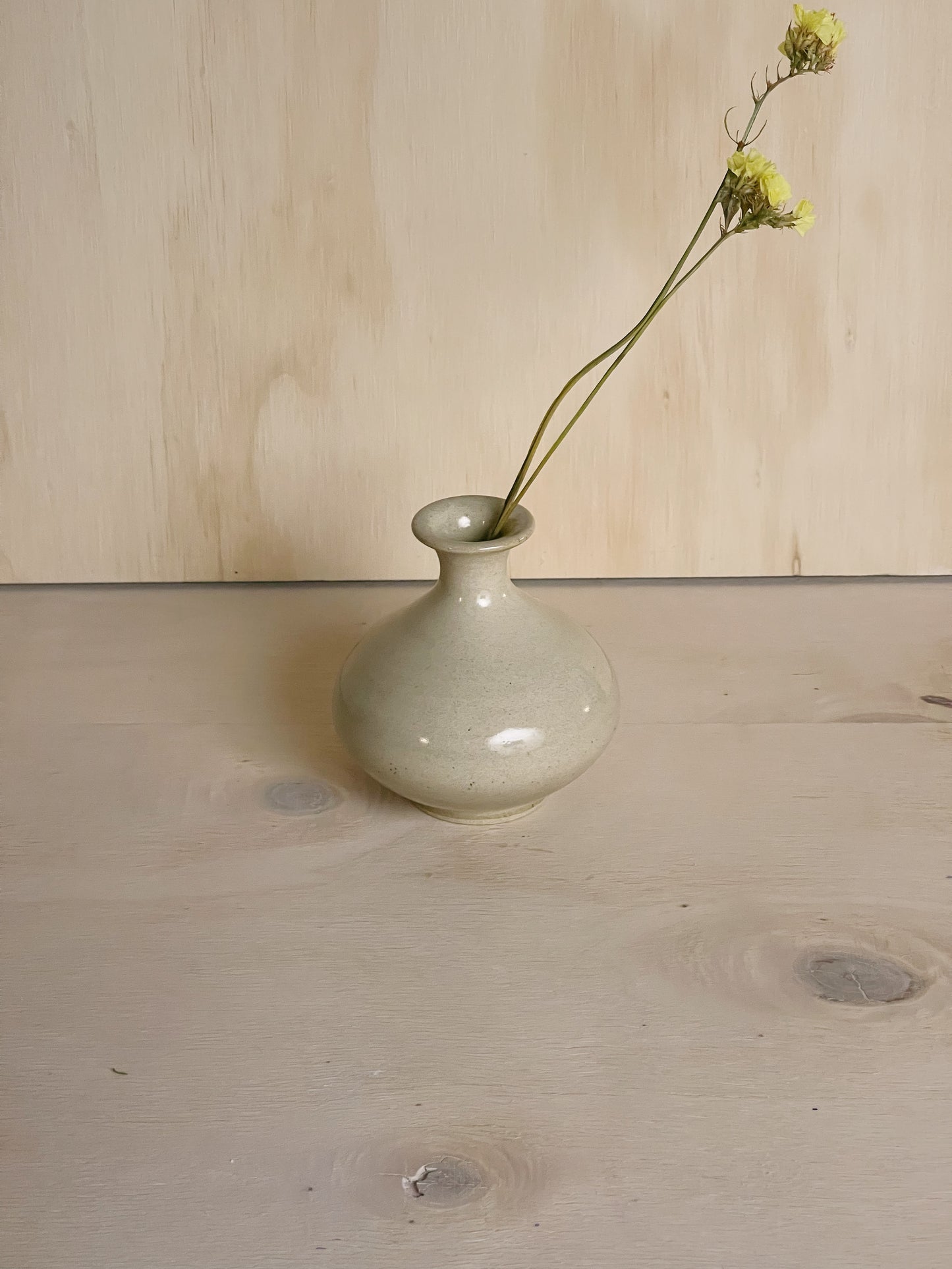 Narrow Neck Vase in Sand