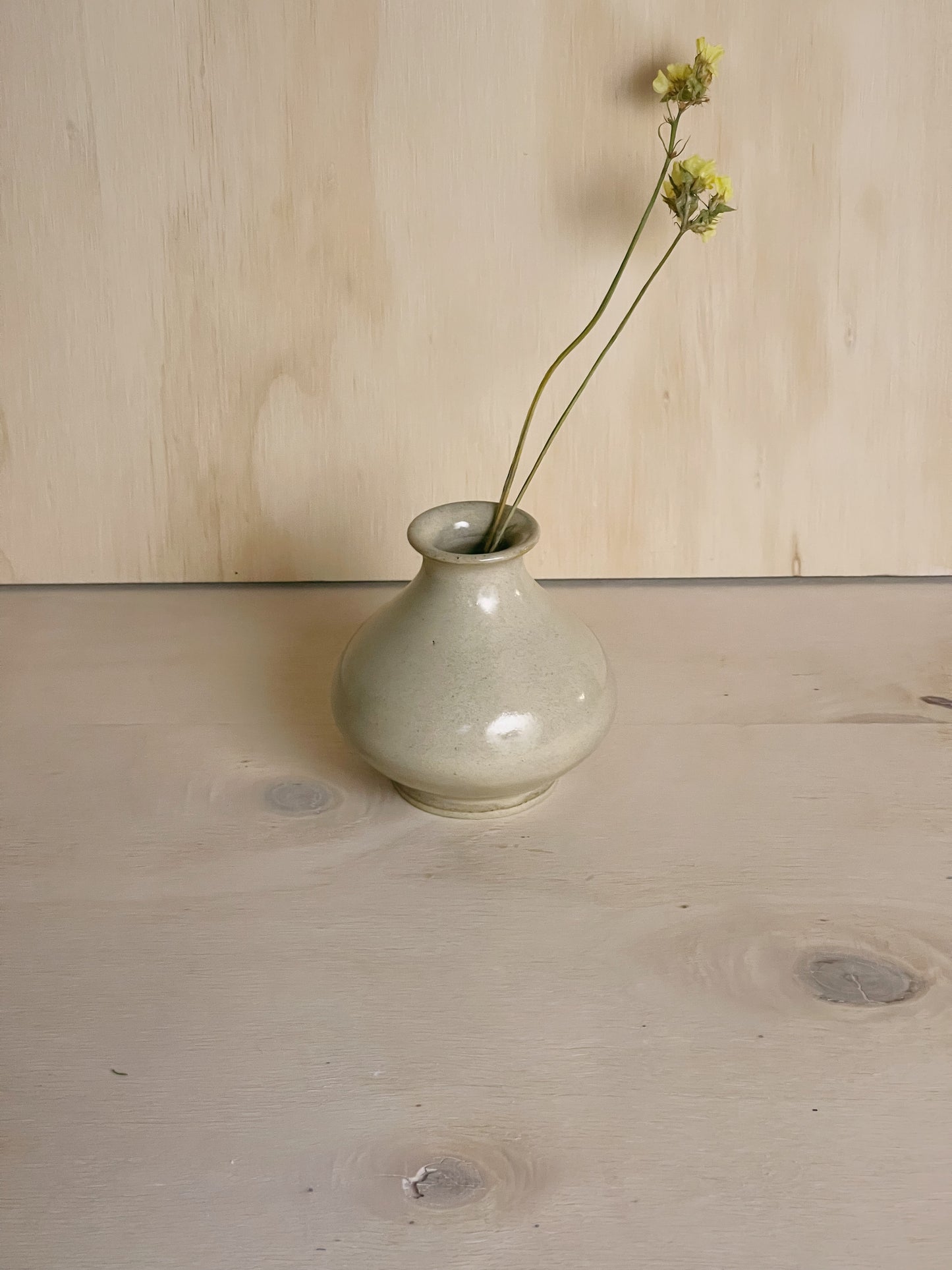 Narrow Neck Vase in Sand